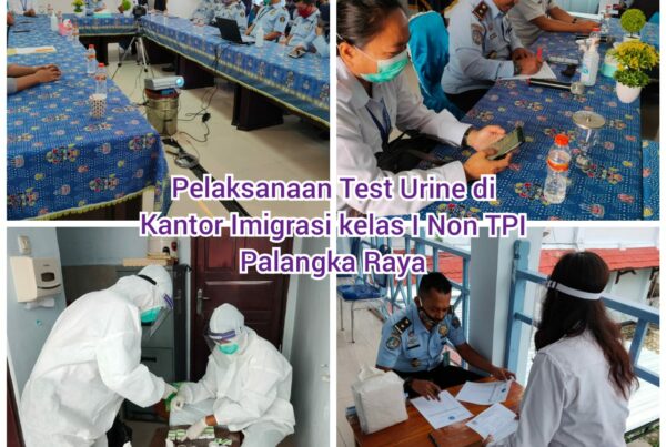 BNNP Kalteng Melaksanakan Permintaan Test Urine dari Kantor Imigrasi Kelas I Non TPI Palangka Raya