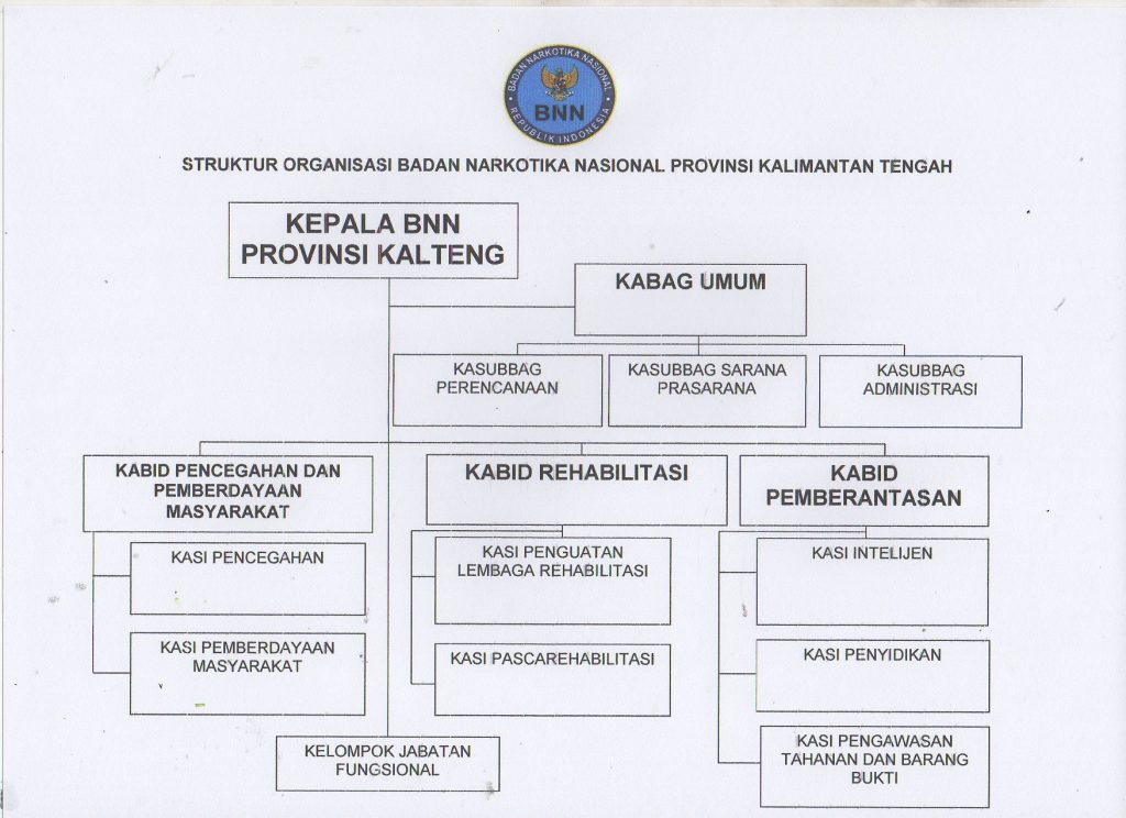 Struktur Organisasi