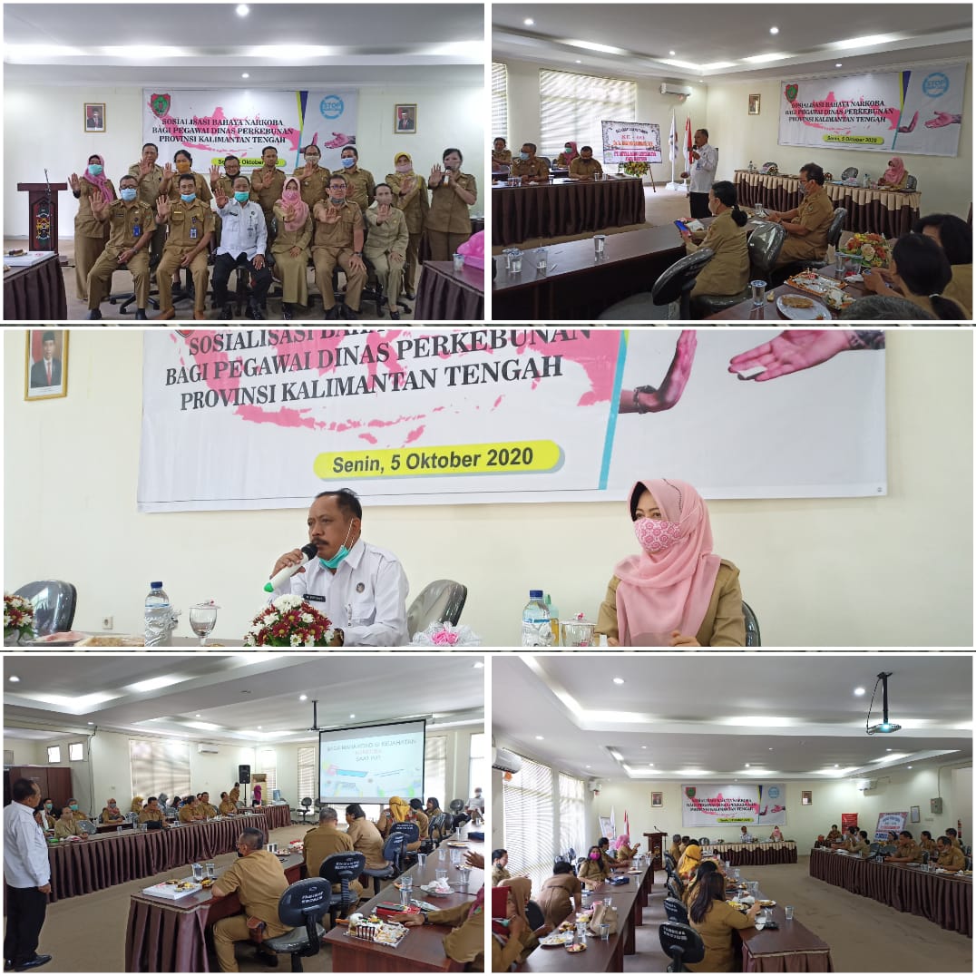 Sosialisasi Bahaya Narkoba bagi Pegawai Dinas Perkebunan Provinsi Kalteng
