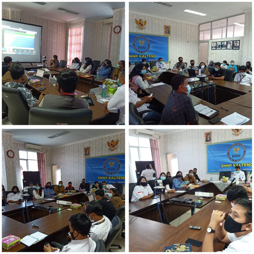 BNNP Kalteng Mengikuti Kegiatan Evaluasi Ex Post Program P4GN secara virtual.