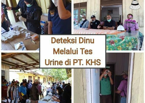 BNNP Kalteng melakukan kegiatan deteksi dini melalui tes urine di PT. Kalimantan Hamparan Sawit (KHS)