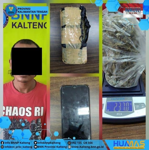 Pengungkapan Narkotika golongan I jenis Ganja di Wilkum Kab. Kotim Prop. Kalimantan Tengah