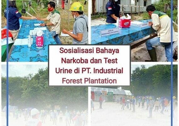 Sosialisasi bahaya narkoba dan Deteksi Dini Melalui Tes Urine di PT. Industrial Forest Plantation Kabupaten Kapuas