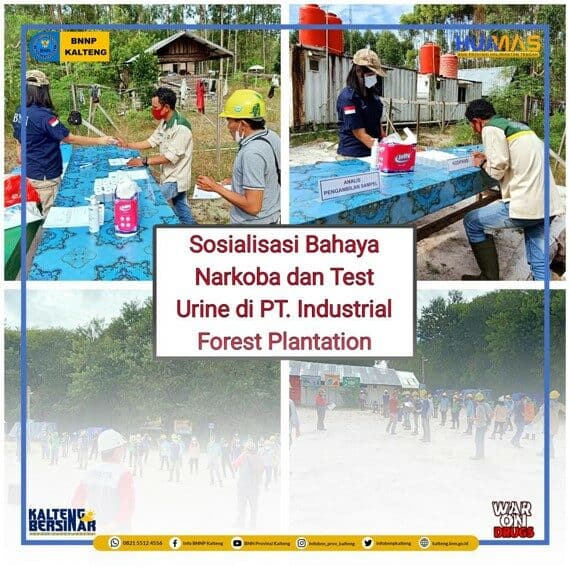 Sosialisasi bahaya narkoba dan Deteksi Dini Melalui Tes Urine di PT. Industrial Forest Plantation Kabupaten Kapuas
