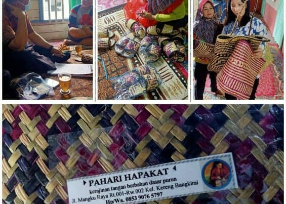 Monitoring & Evaluasi Program Pemberdayaan Alternatif Pada Kawasan Rawan Narkoba Perkotaan/Perdesaan