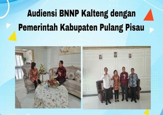 Audiensi BNNP Kalteng dengan Pemerintah Kabupaten Pulang Pisau
