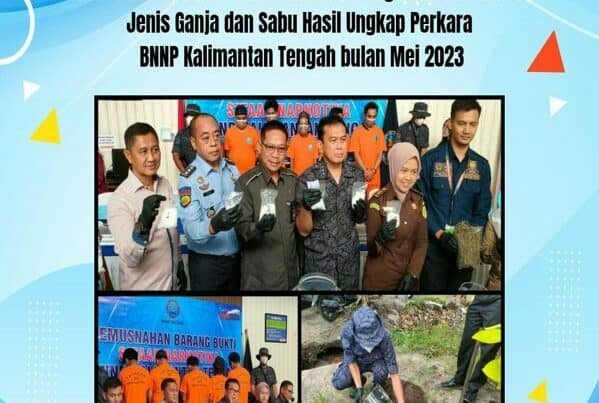 Press Release Dan Pemusnahan Barang Bukti Narkotika Jenis Ganja dan Sabu Hasil Ungkap Perkara BNNP Kalimantan Tengah Bulan Mei 2023
